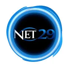 net29 APK ARPG